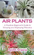 Air Plants: A Practical Beginner's Guide to Growing and Displaying Tillandsia