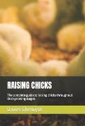 Raising Chicks: The complete guide to raising chicks throughout their growing stages