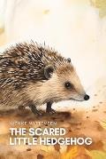 The Scared Little Hedgehog