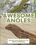 Awesome Anoles