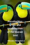 Peculiarities of life and reproduction of the toucan bird