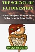 The Science of Fat Digestion: Understanding How Fat Globules are Broken Down for Better Health