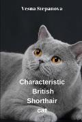 Сharacteristic British Shorthair cat