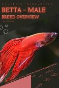 Betta - male: From Novice to Expert. Comprehensive Aquarium Fish Guide