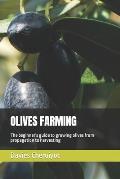 Olives Farming: The beginner's guide to growing olives from propagation to harvesting