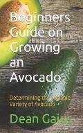 Beginners Guide on Growing an Avocado: Determining the Suitable Variety of Avocado