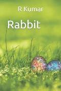 Amazing Rabbit drawing book