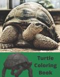 Turtle Coloring Book: Turtle Coloring Books are Perfect for all Animal Lovers, No Matter Your Age
