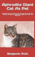 Aphrodite Giant Cat As Pet: The Best Pet Owner Manual On Aphrodite Giant Cat Care, Training, Personality, Grooming, Feeding And Health For Beginne