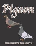 Pigeon Coloring Book For Adults: Pigeon Coloring Book for Adults Man, Woman Design Stress Relief