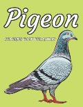 Pigeon Coloring Book For Adults: An Adults Coloring Book With Pigeon Gifts For Birds Lovers