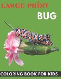 large print Bug coloring book for kids: Coloring Fun and Awesome large print Bug coloring book Kids First Big Book of Bugs.