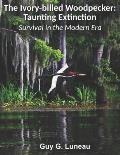 The Ivory-billed Woodpecker: Taunting Extinction: Survival in the Modern Era
