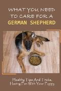 What You Need To Care For A German Shepherd: Healthy Tips And Tricks, Having Fun With Your Puppy: German Shepherd Breed Guide For Beginner