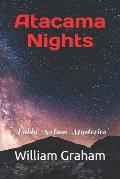 Atacama Nights: Pablo Nelson Mysteries