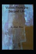 Voices From the Second Life