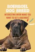 Boerboel Dog Breed: Interesting Infor Make You Want to Get a Boerboel: Boerboel Dog Breed Characteristics, Appearance, History