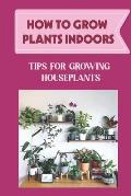 How To Grow Plants Indoors: Tips For Growing Houseplants: How To Grow Indoor Plants From Cuttings