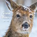 Snow Bunny the Deer