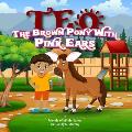 TEO The BROWN Pony with PINK Ears