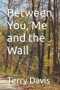 Between You, Me and the Wall