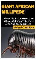 Giant African Millipede: Intriguing Facts About The Giant African Millipede Care And Management