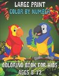 Large Print Color By Number Coloring Book For Kids Ages 8-12: Large Print Birds, Flowers, Animals Color By Number Coloring Book