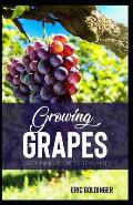 Growing Grapes: Gardening Secrets Revealed