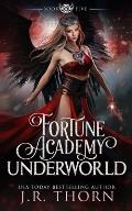 Fortune Academy Underworld: Book Five