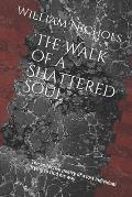 The Walk of a Shattered Soul: The collective poetry of a lost individual trying to find his way