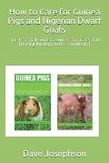 How to Care for Guinea Pigs and Nigerian Dwarf Goats: The Essential Guide to Ownership, Care, and Training for Beginners - 2 Books in 1