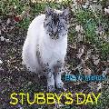 Stubby's Day