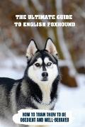 The Ultimate Guide To English Foxhound: How To Train Them To Be Obedient And Well-Behaved: How To Stop Your English Foxhound From Scratching Things