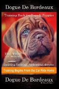 Dogue De Bordeaux Training Book for Dogs & Puppies By D!G THIS DOG Training, Easy Dog Training, Professional Results, Training Begins from the Car Rid