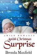 Amish Christmas Surprise
