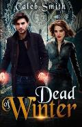 Dead of Winter: Book Four of the Nate Silver Saga