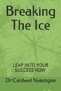 Breaking The Ice: Leap Into Your Success Now'