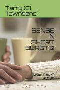 Sense in Short Bursts!: Mary Thinks Aloud