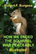 How We Ended the Squirrel War Peaceably