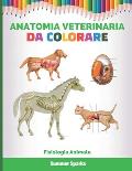 Anatomia Veterinaria Da Colorare: Fisiologia Animale