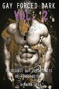 Gay Forced Dark: Vol. 2 - Incredible Gay Experiences of Straight Guys