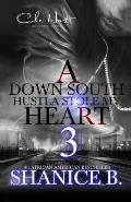 A Down South Hustla Stole My Hear 3: An African American Women's Fiction: Finale
