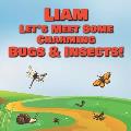Liam Let's Meet Some Charming Bugs & Insects!: Personalized Books with Your Child Name - The Marvelous World of Insects for Children Ages 1-3