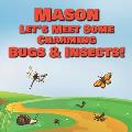 Mason Let's Meet Some Charming Bugs & Insects!: Personalized Books with Your Child Name - The Marvelous World of Insects for Children Ages 1-3