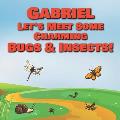 Gabriel Let's Meet Some Charming Bugs & Insects!: Personalized Books with Your Child Name - The Marvelous World of Insects for Children Ages 1-3