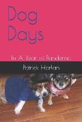 Dog Days: In A Year of Pandemic