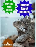 Curious About Iguanas