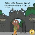 Where Do Dreams Grow?: How to Become Anything You Want To Be in Tigrinya and English
