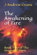 The Awakening of Fire: Book Two of The Singer of Days
