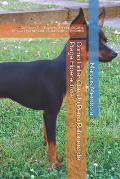 C?mo Lidiar Con Un Perro Ratonero de Praga Hiperactivo: Qu? Hacer Si Tu Ratonero de Praga Se Orina, Destroza, Muerde, Ladra, Salta, Gru?e o Tira Corre